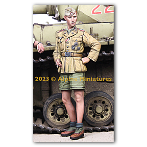 Немецкий офицер танковой дивизии DAK