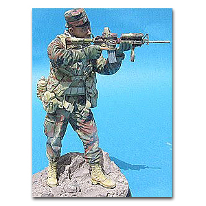 Силы специального назначения США