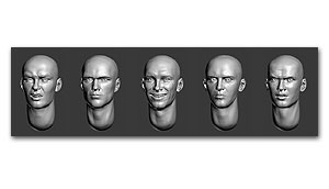 Лысые головы (набор 8)