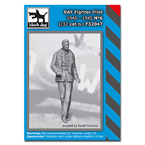 Летчик-истребитель Королевских ВВС 1940-45 № 6