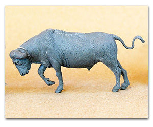 Буфало африкано