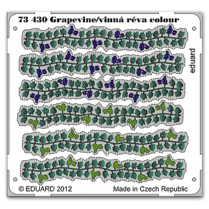 Grapevine/vinná réva