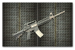 1/4 американского карабина M41A