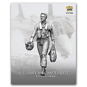1/16 пилот самолета ВМС США