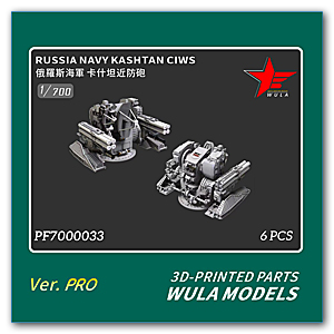БПЛА «Каштан» ВМФ России