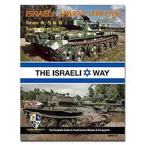 Обломки танков Тиран 4, 5 и 6