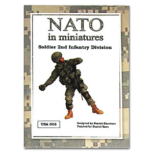 Солдат 2-й пехотной дивизии