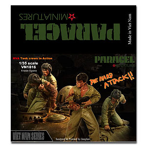 Танковые экипажи СВА в действии