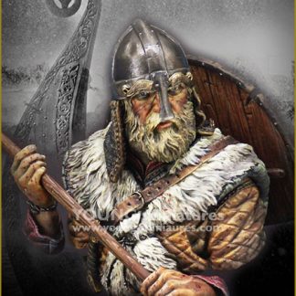 Викинг-воин