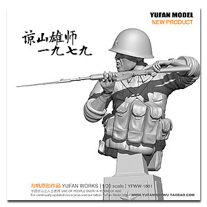 Народно-освободительная армия Вьетнама, 1979 г.