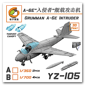 Grumman A-6 Intruder (2 комплекта)