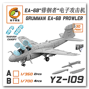 Grumman EA-6B Prowler (2 комплекта)
