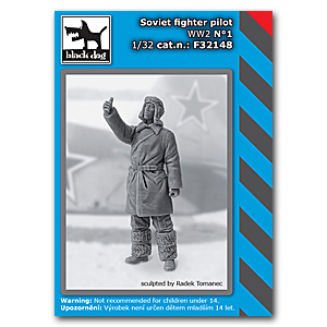 Советский летчик-истребитель Второй мировой войны №1