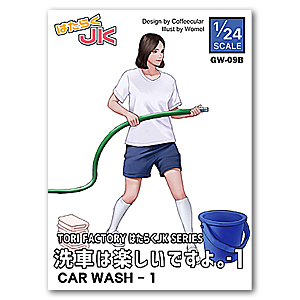 Автомойка -1 (1/24)