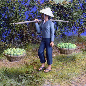 Вьетнамская женщина несет корзины