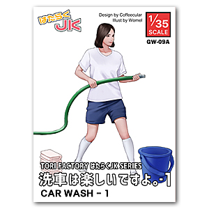 Автомойка -1 (1/35)